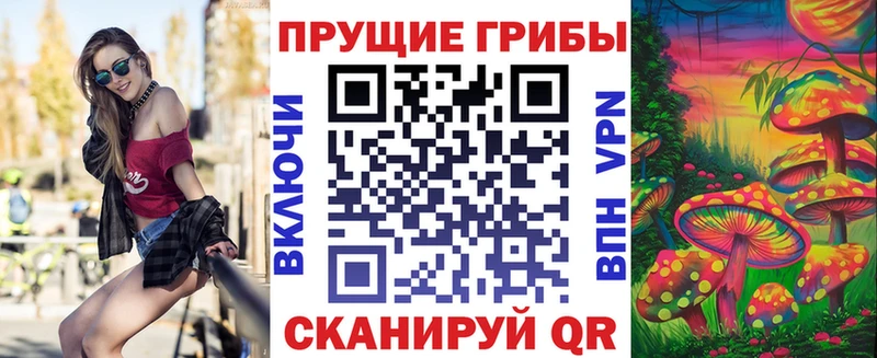 Псилоцибиновые грибы GOLDEN TEACHER  купить наркотик  Щёлкино 