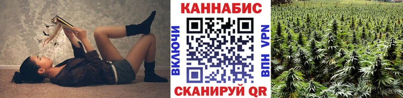 Конопля сатива Щёлкино